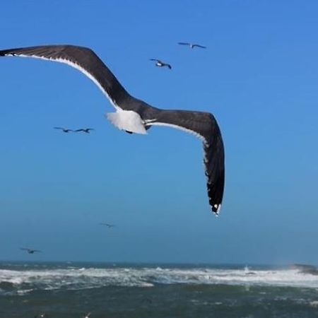 Villa L'Oiseau Bleu الصويرة المظهر الخارجي الصورة