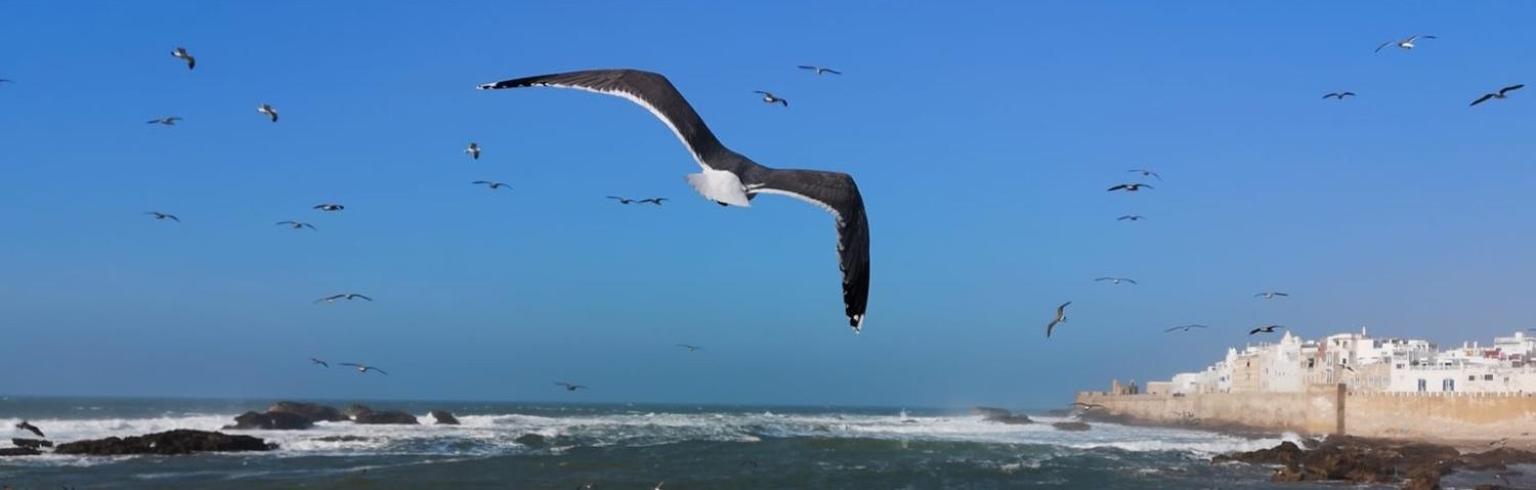 Villa L'Oiseau Bleu الصويرة المظهر الخارجي الصورة